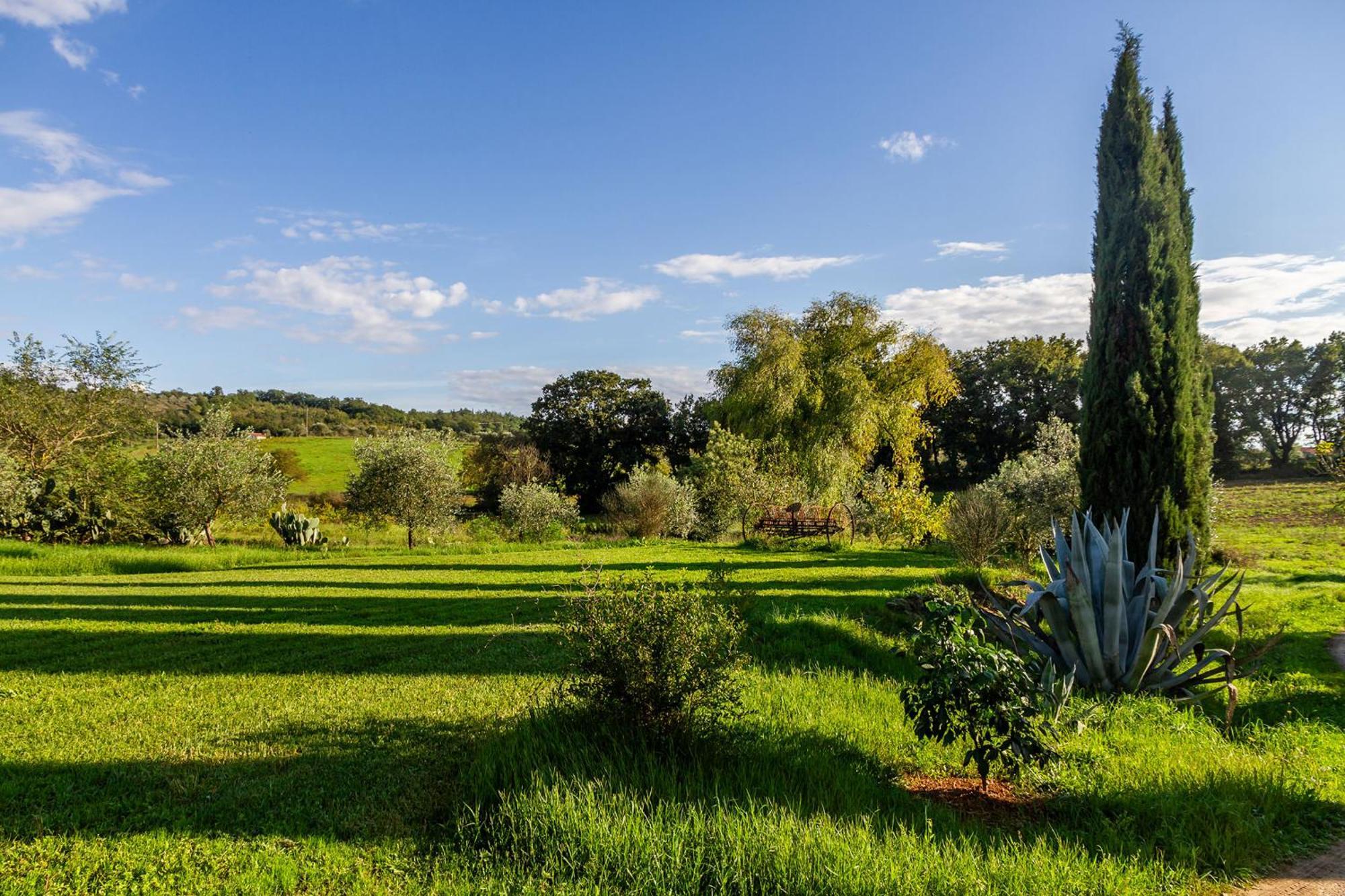 Agriturismo Bio Fattoria Casetta Gavorrano Kültér fotó